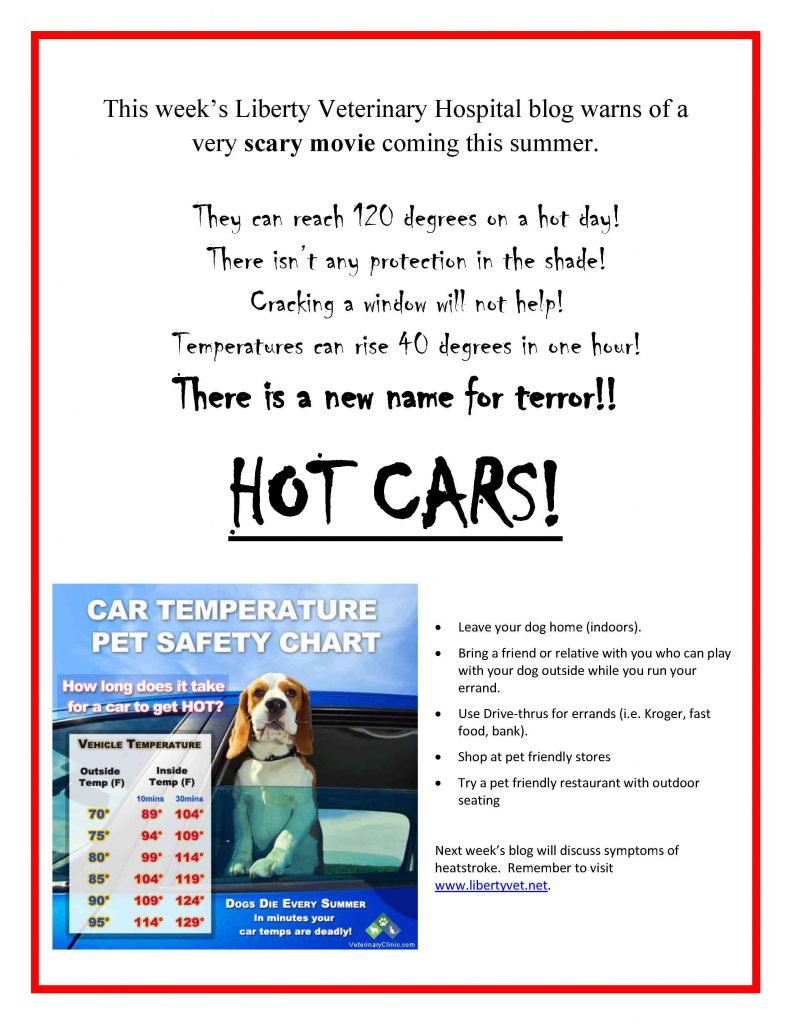 2 - hot cars horror movie poster1